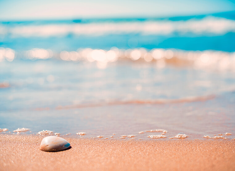 Explore harbour life style